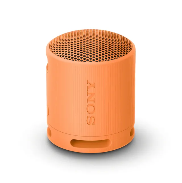sony-srs-xb100-wireless-bluetooth-portable-speaker-super-compact-ip67-waterproof image 1