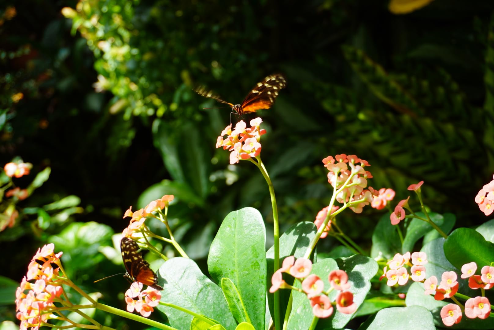 Solid camera, but kit lens leaves something