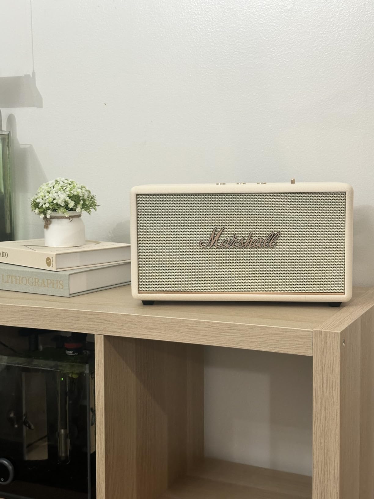 Great speaker, but no battery