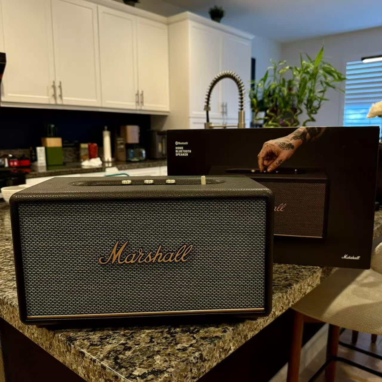 Solid speaker