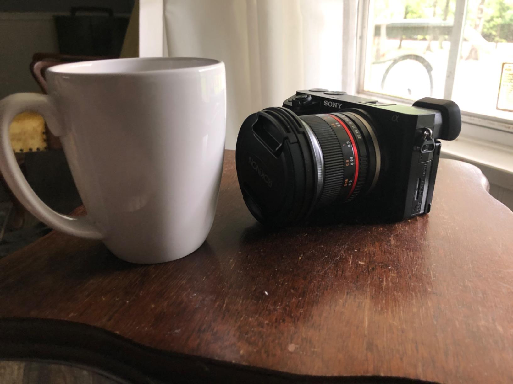 Great for photography newbies