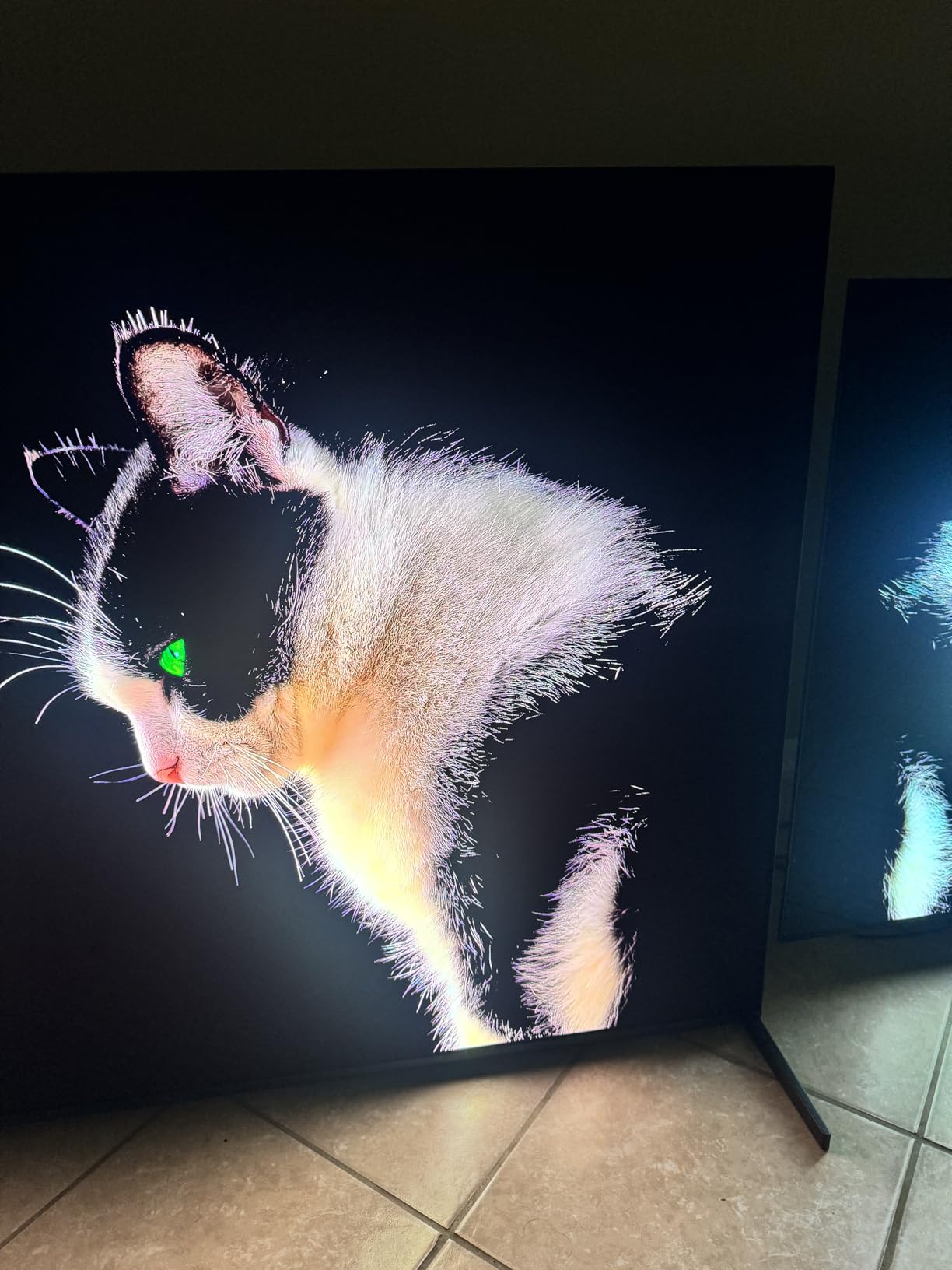 Gorgeous OLED