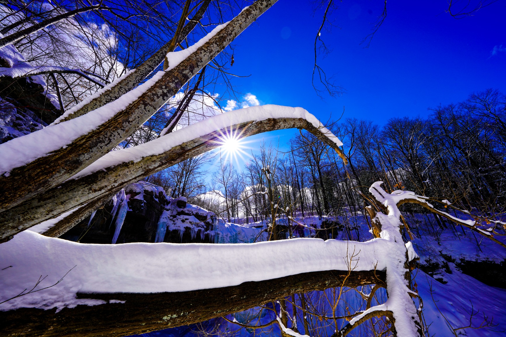 Stunning wide-angle beast